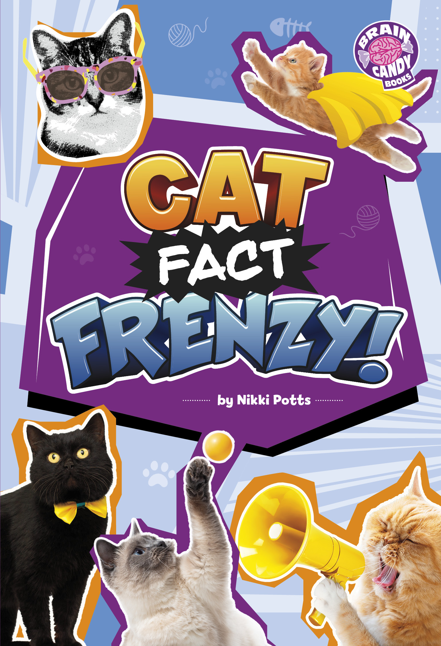 Product: Cat Fact Frenzy!